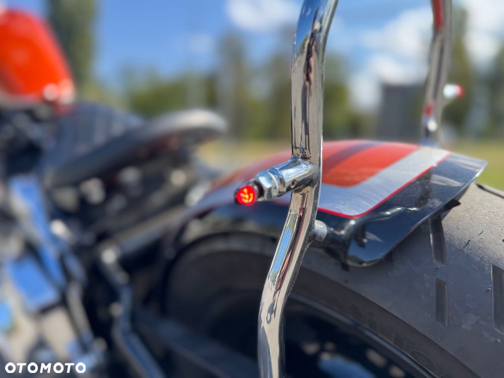 Harley-Davidson Softail - 6
