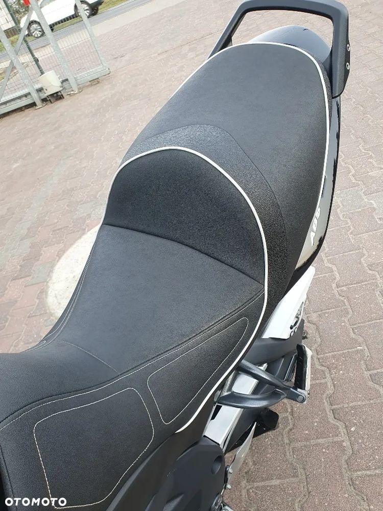 Triumph Tiger - 19