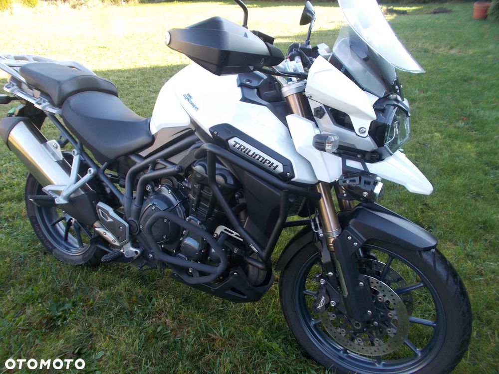 Triumph Tiger - 1