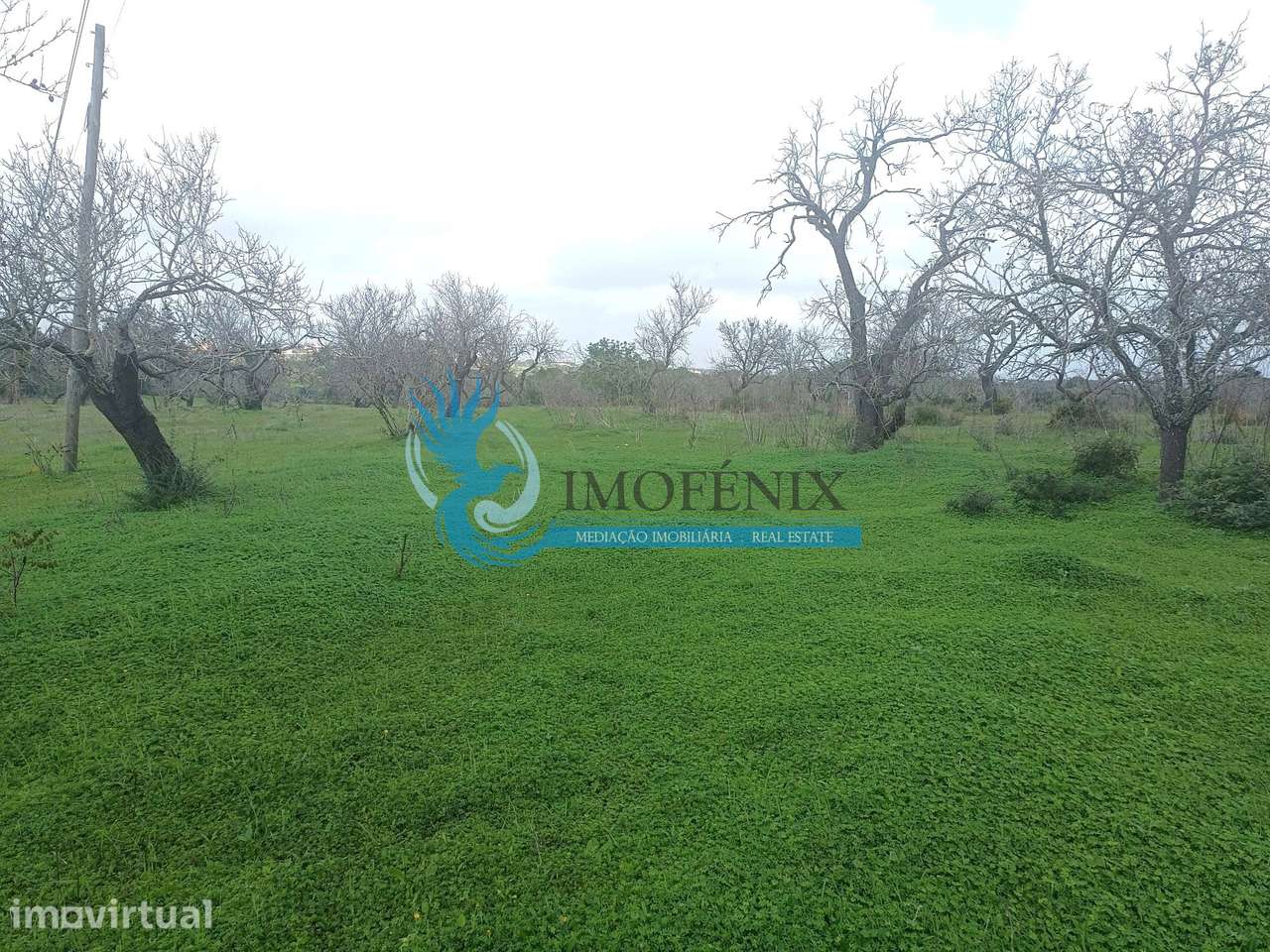 Terreno rustico com 14090m² localizado na Mouraria-Albufeira - Grande imagem: 5/7
