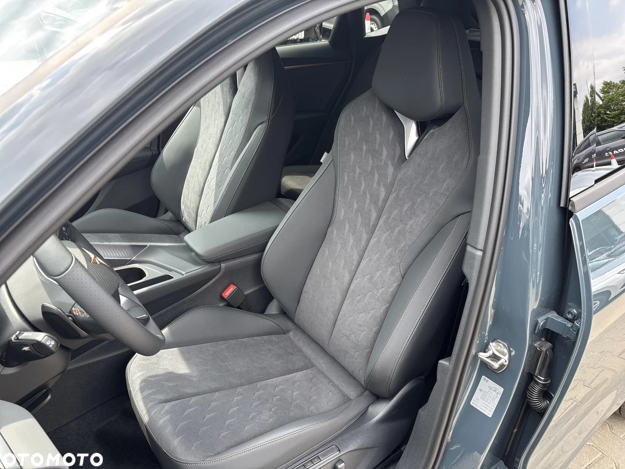 Cupra Terramar 2.0 TSI 4Drive DSG - 10
