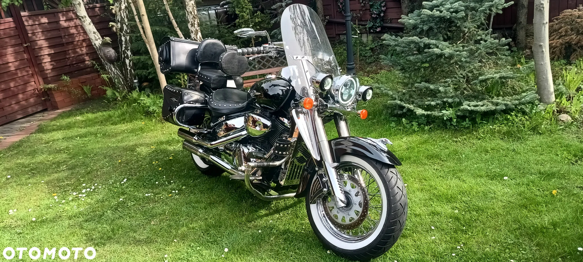 Suzuki VL 800 Volusia - Boulevard C50 - 2