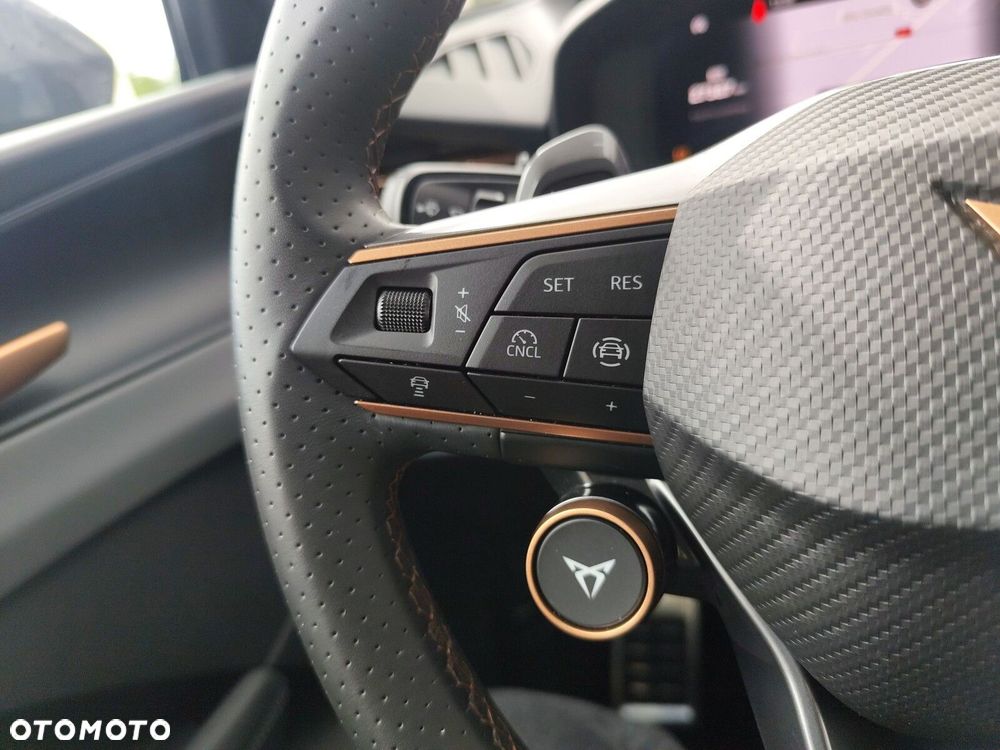 Cupra Terramar - 22