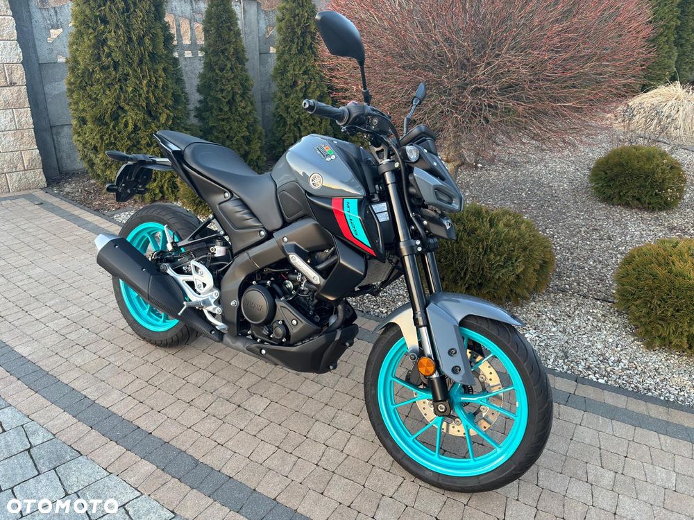 Yamaha MT - 19