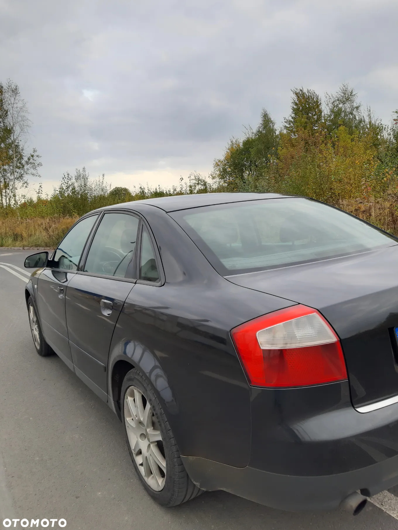 Audi A4 2.0 - 6