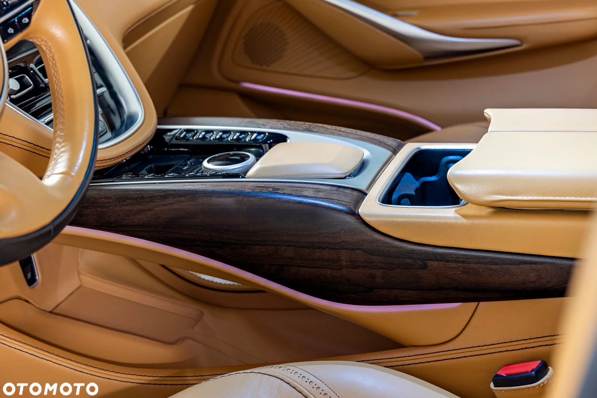 Aston Martin DBX - 11