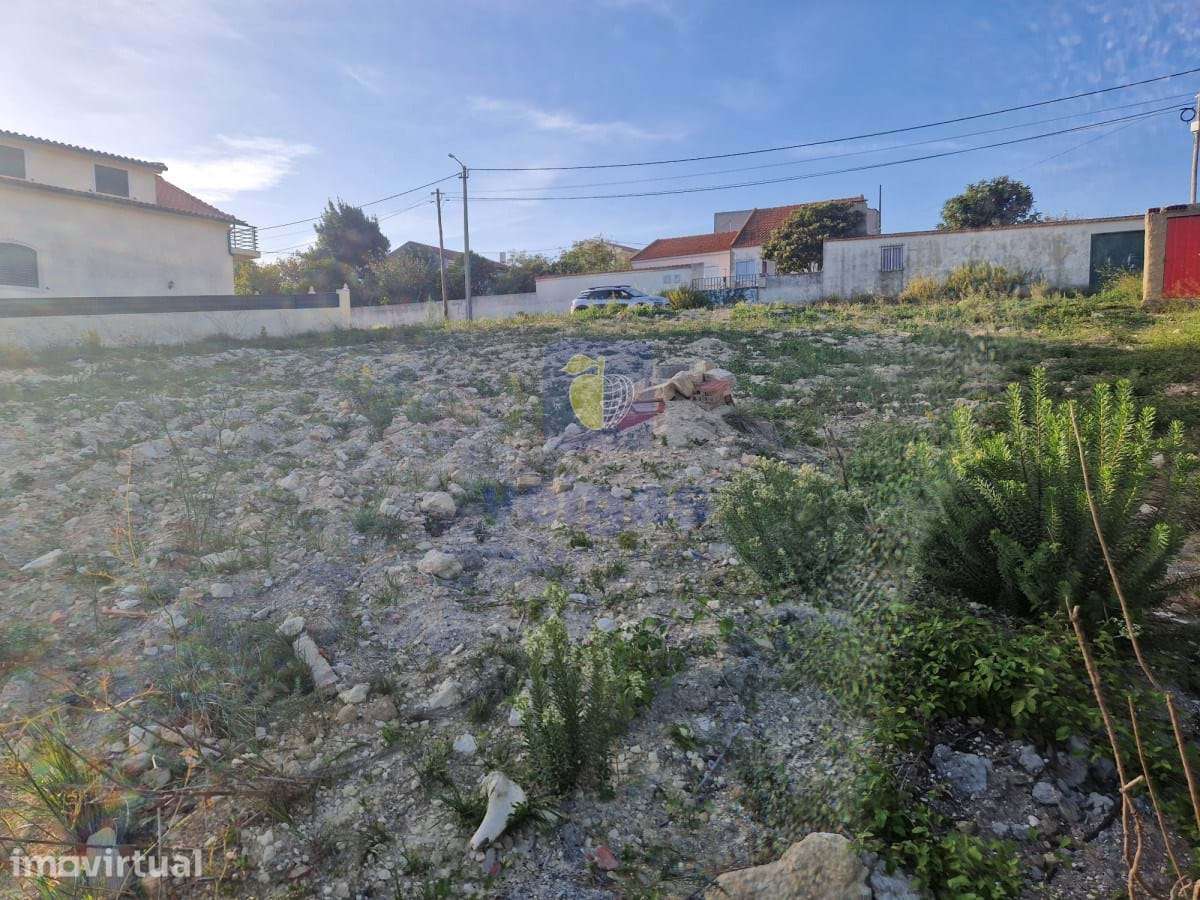 Terreno Vialonga - Grande imagem: 2/35