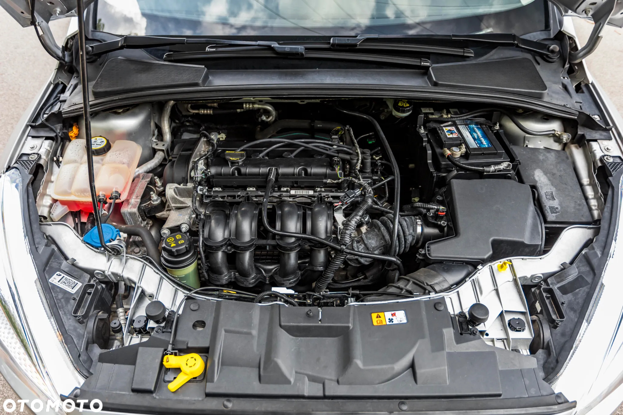 Ford Focus 1.6 Edition - 25