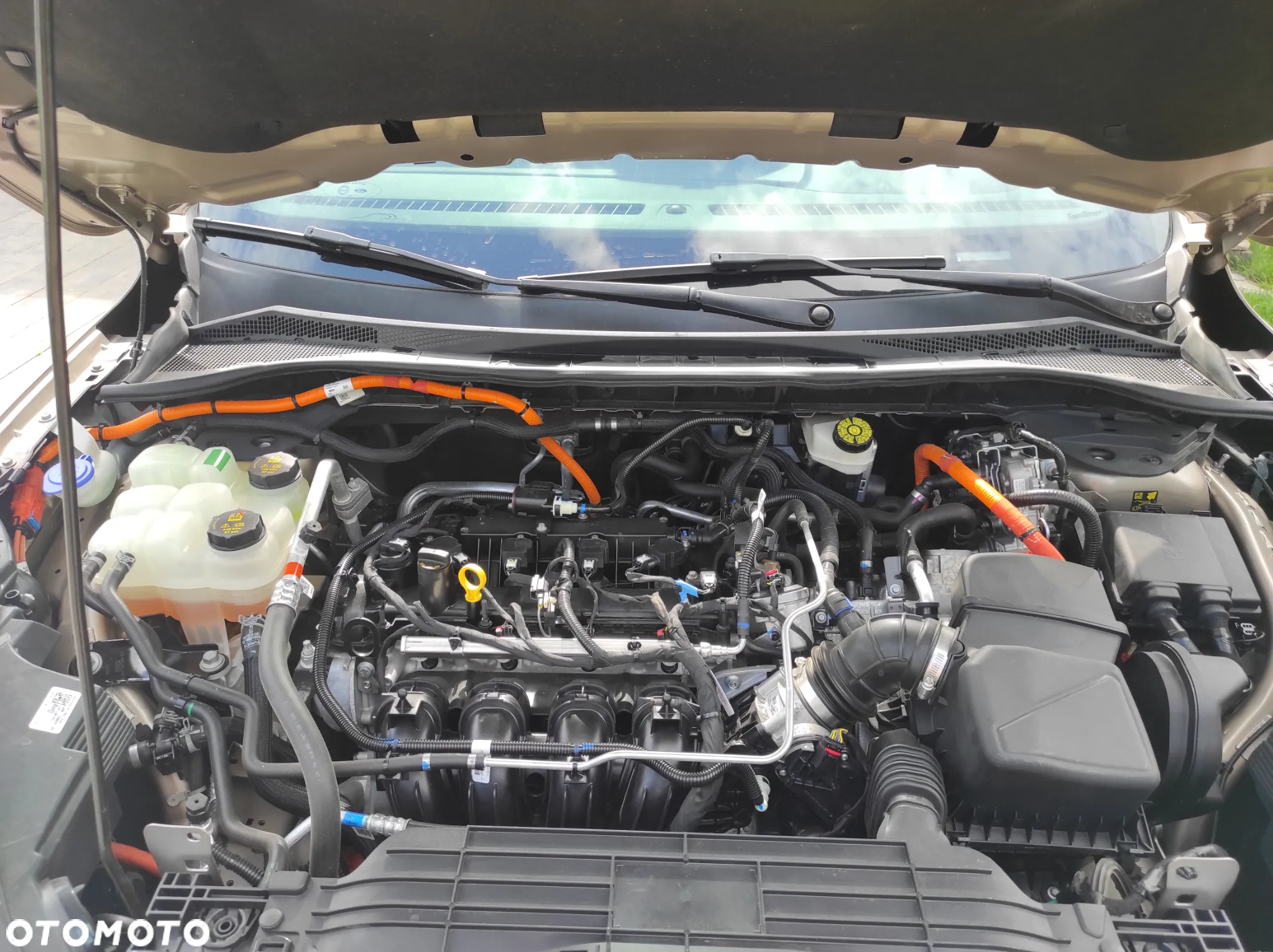 Ford Kuga - 17