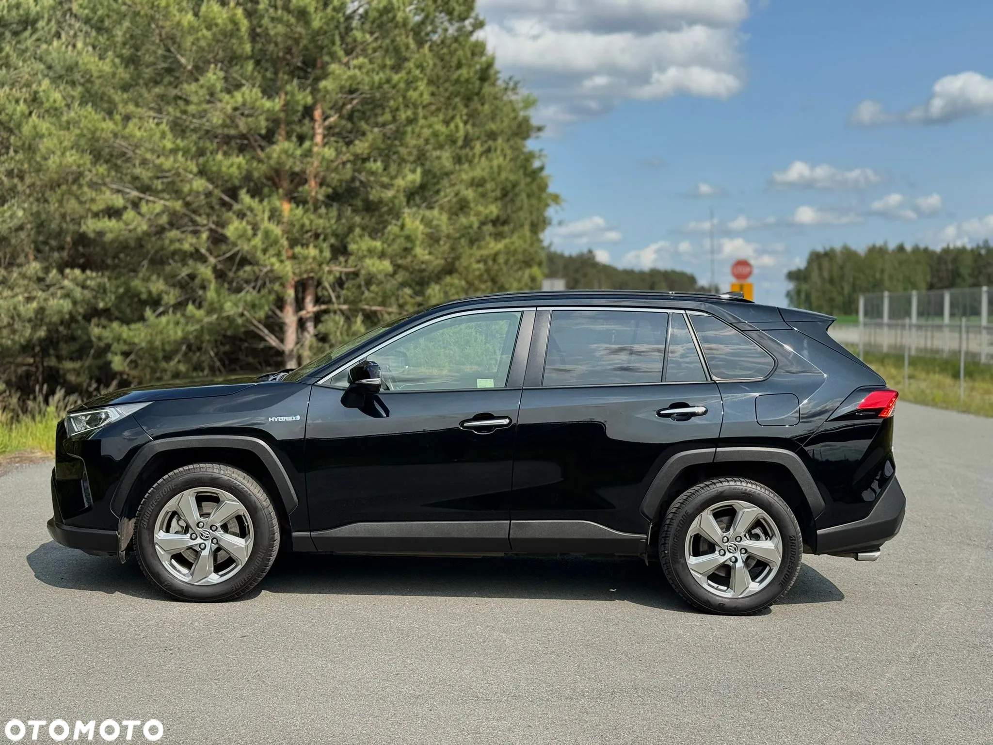 Toyota RAV4 2.5 Hybrid Executive 4x4 - 4