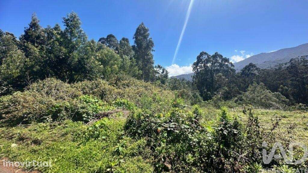 Terreno para construção em São Jorge de 1520,00 m2 - Grande imagem: 5/9