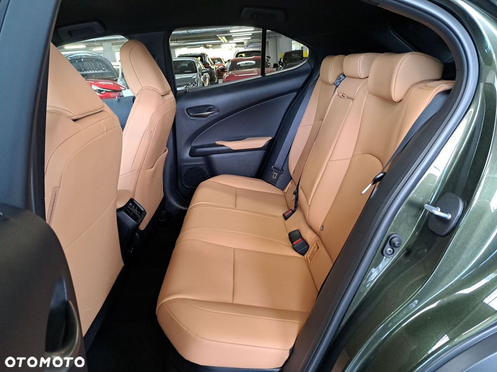 Lexus UX 300h F Sport Design - 12