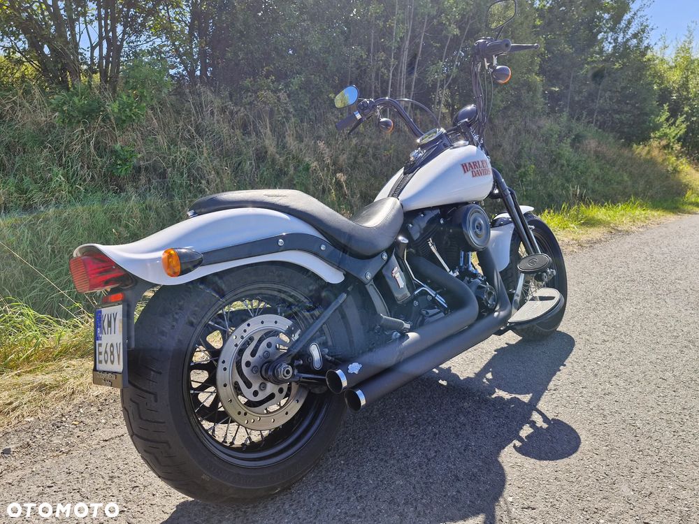 Harley-Davidson Softail Cross Bones - 8