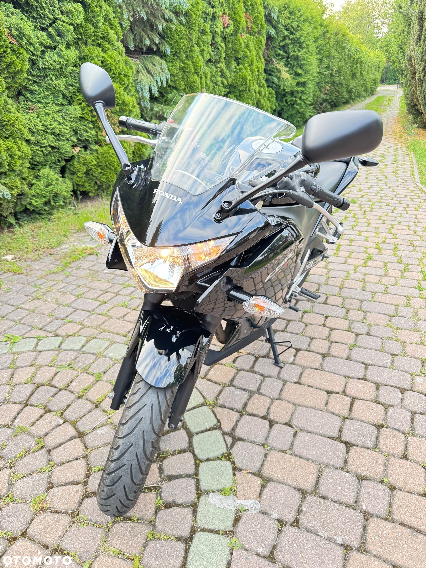 Honda CBR - 13