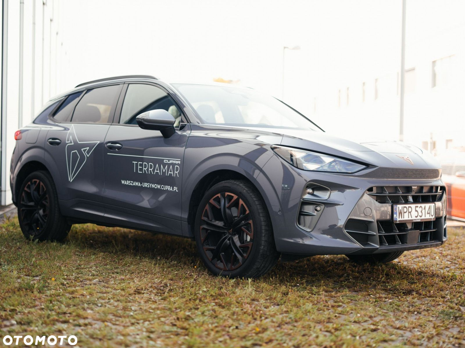 Cupra Terramar - 2