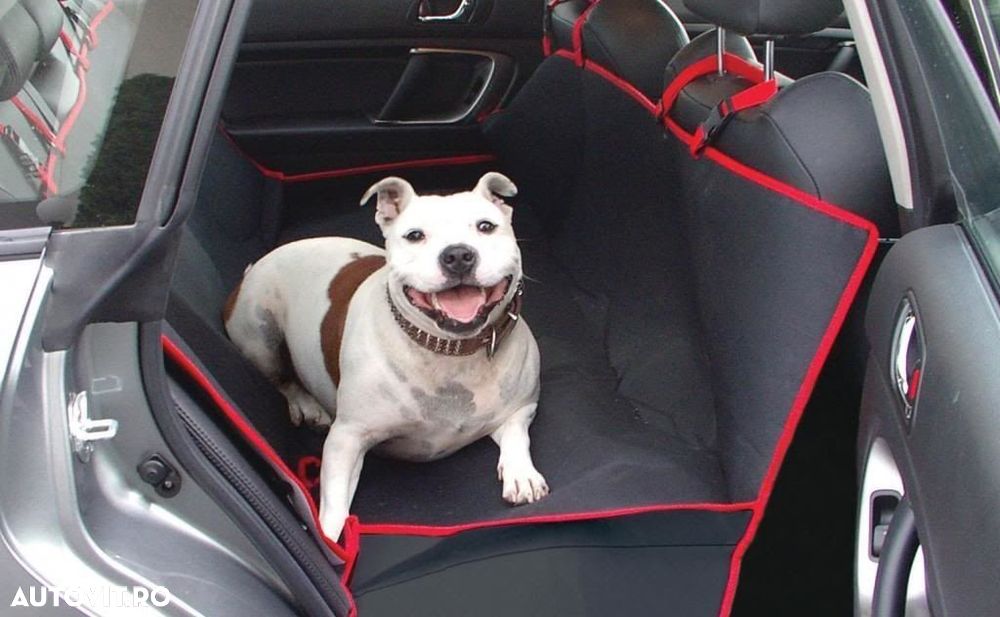 Husa auto protectie caini si pisici husa protectie bancheta Steetwize, cu decupaj pentru centura de siguranta , 140x140 cm - 1