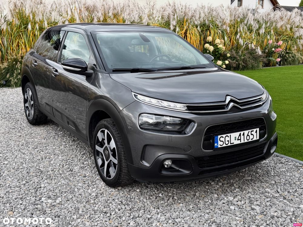 Citroën C4 Cactus Pure Tech e-THP 110 Stop&Start Shine - 12