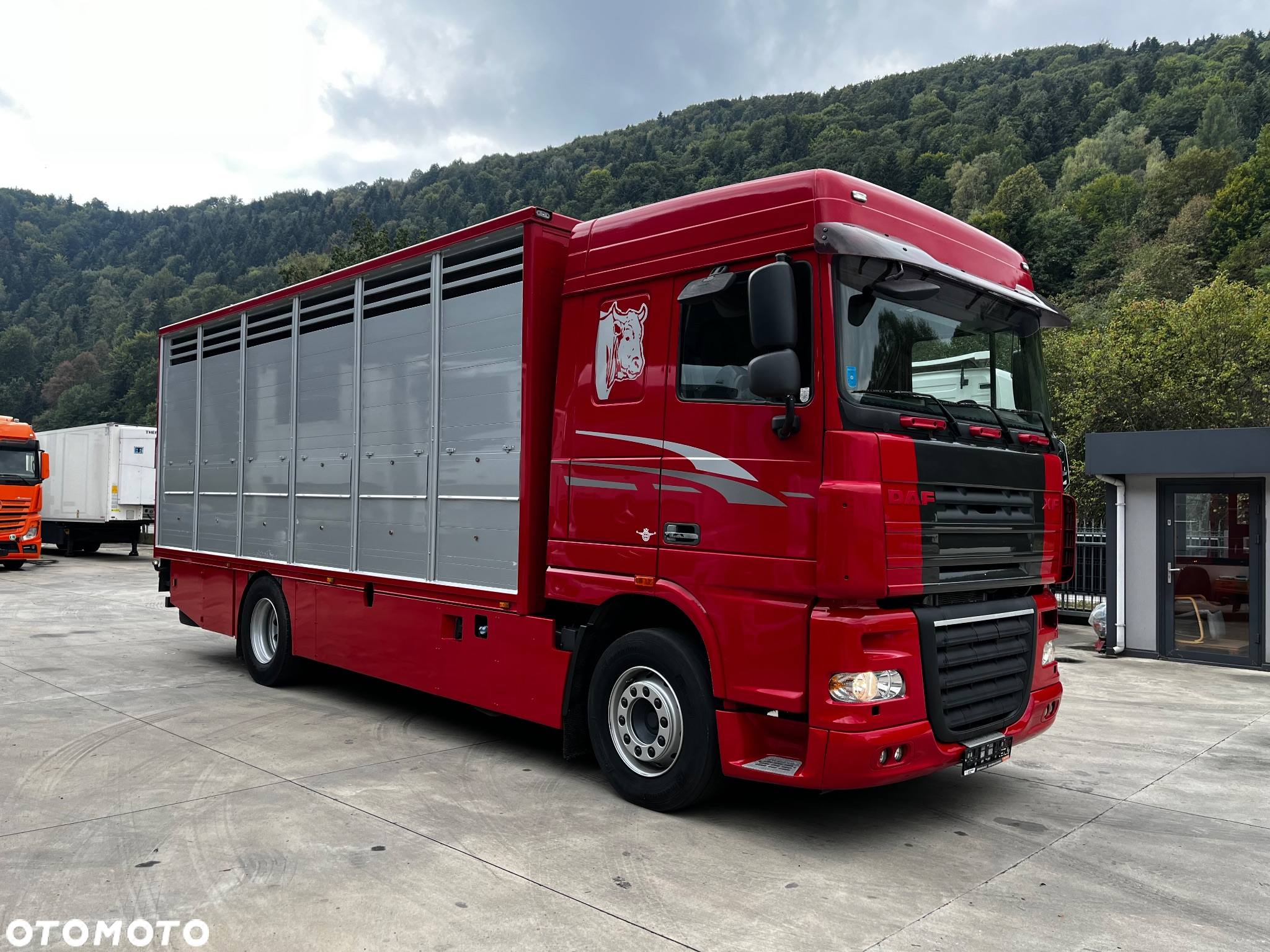 DAF XF 105.460 Euro 5 // Manual // Retarder // Do Żywca / Bydła / Zwierząt / - 2