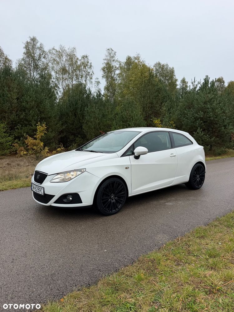 Seat Ibiza - 17