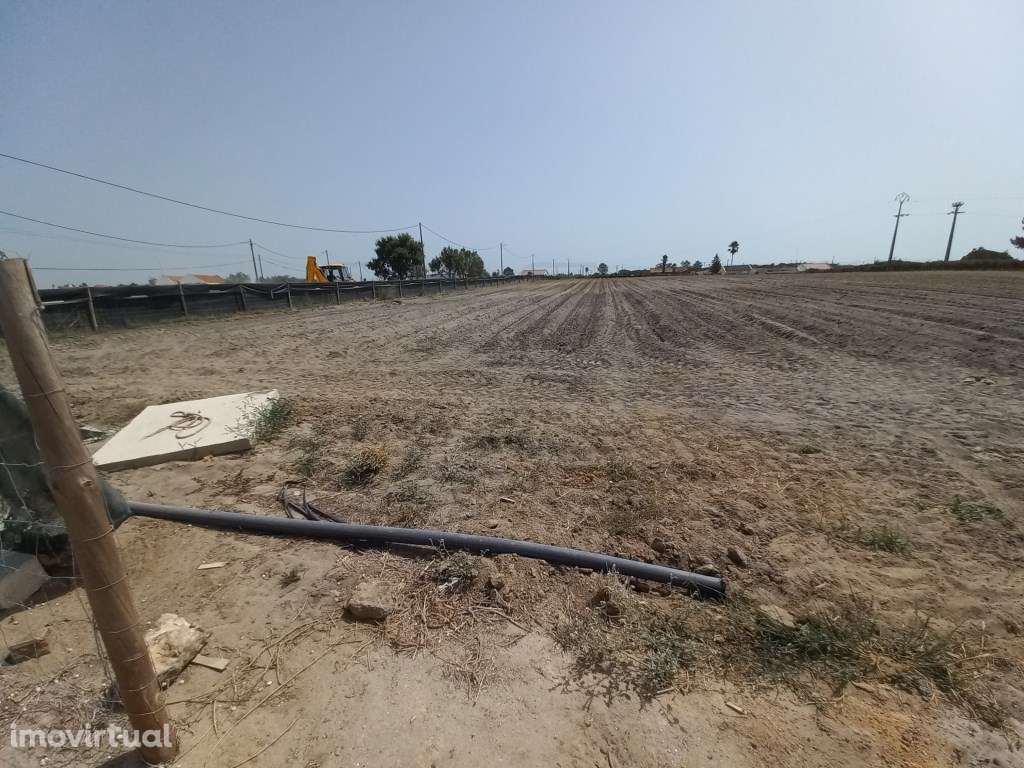 Terreno Rústico para arrendamento - Grande imagem: 3/17