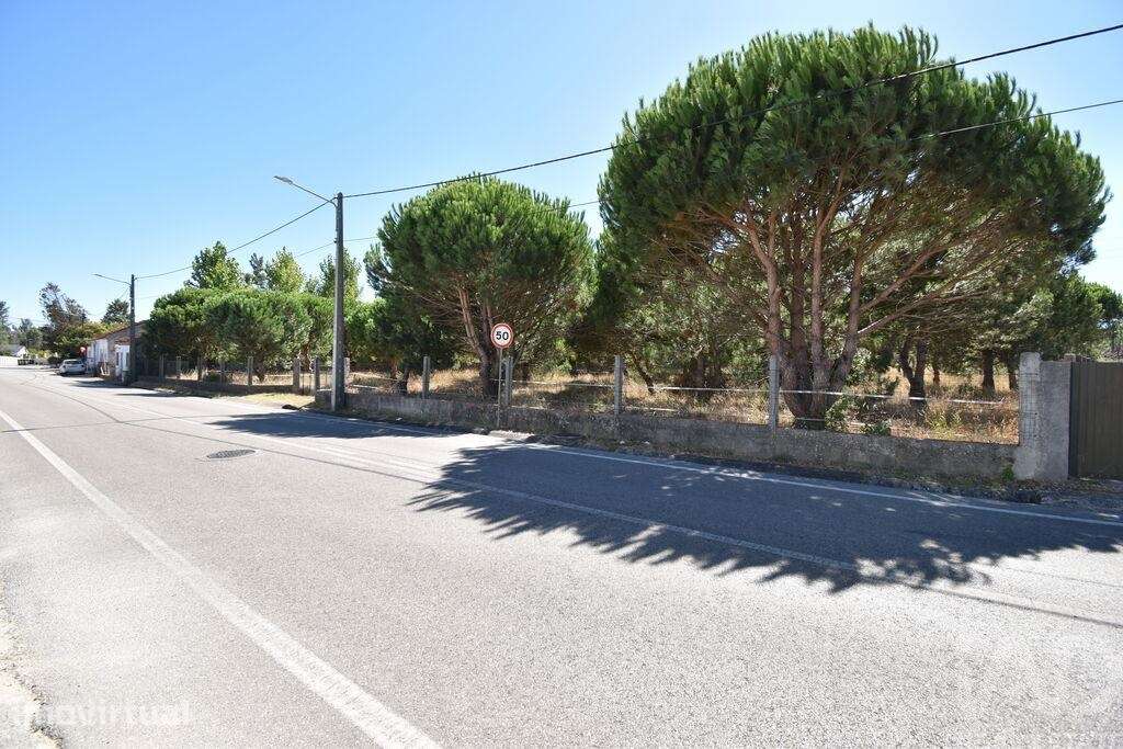 Terreno para construção em Marinha Grande - Grande imagem: 3/5