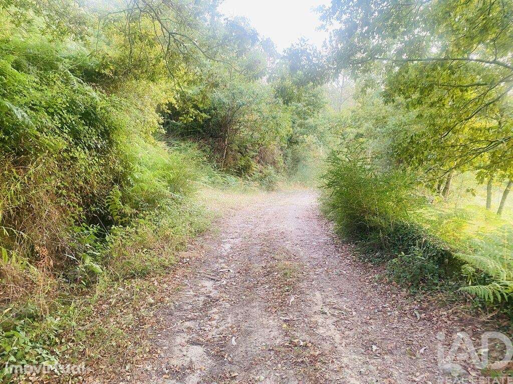 Terreno em Sapardos de 612,00 m2 - Grande imagem: 2/8