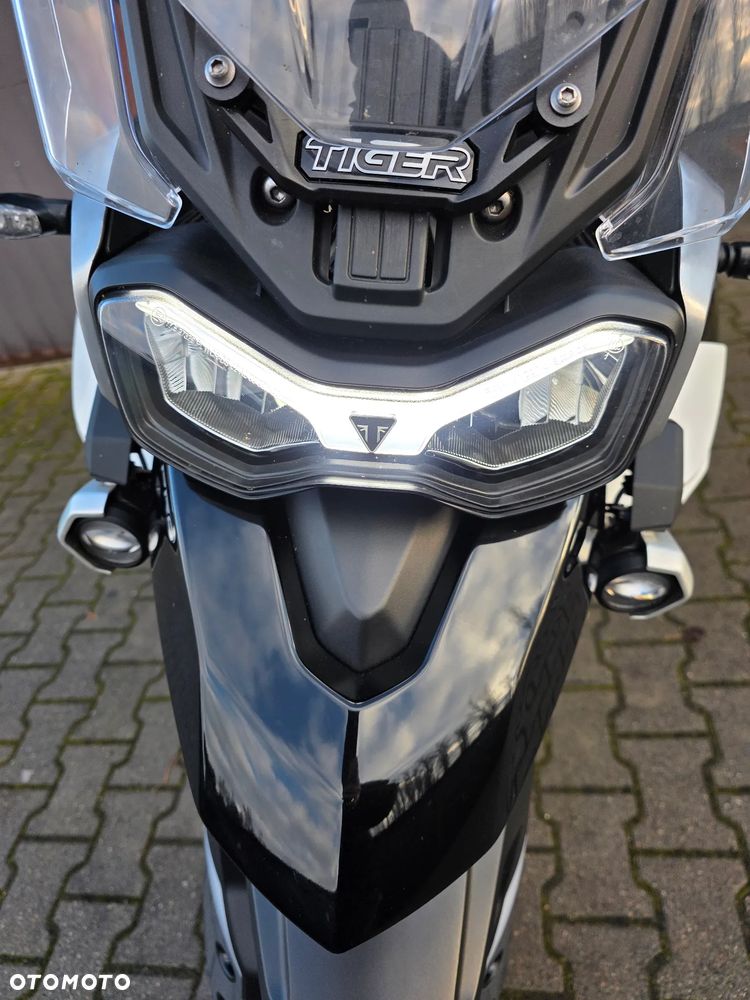 Triumph Tiger - 22