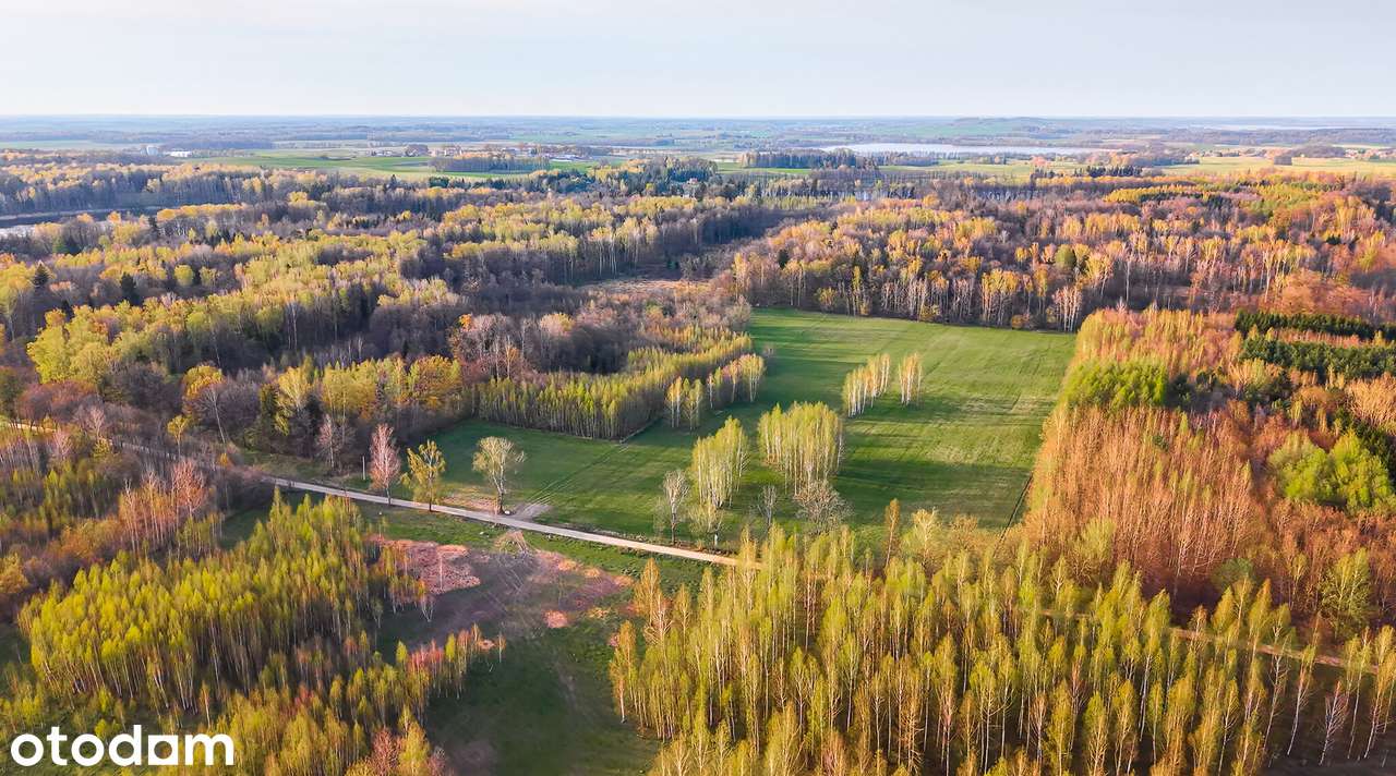 Działka rolno-budowlana w malowniczej okolicy - lasy i jeziora - Pełny obrazek: 4/12