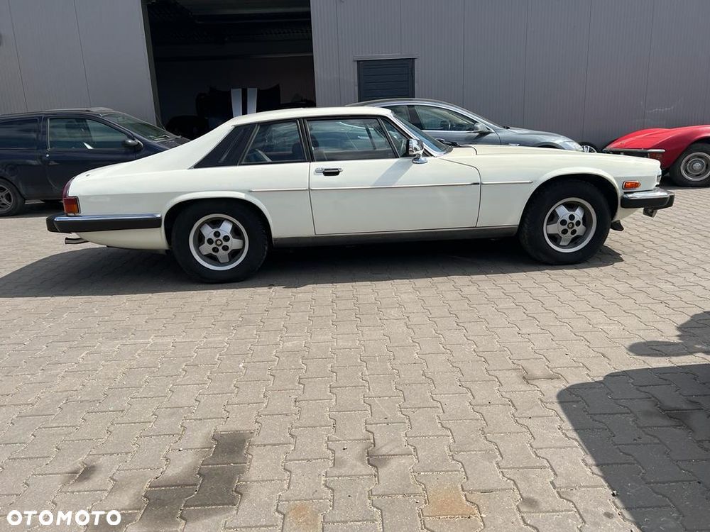 Jaguar XJS - 29