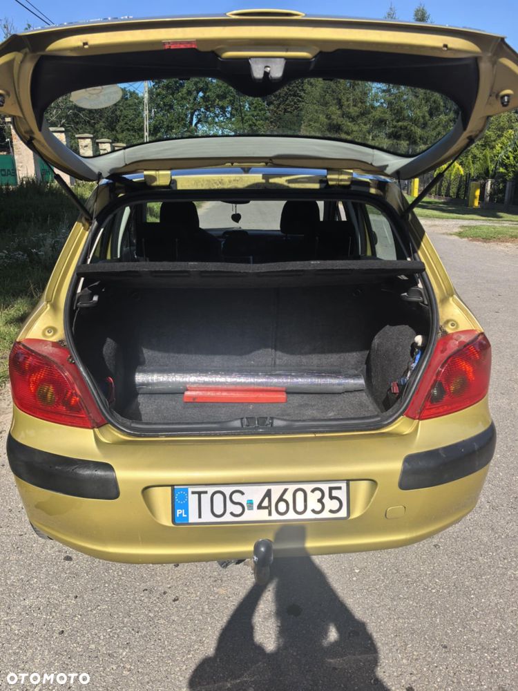 Peugeot 307 - 16