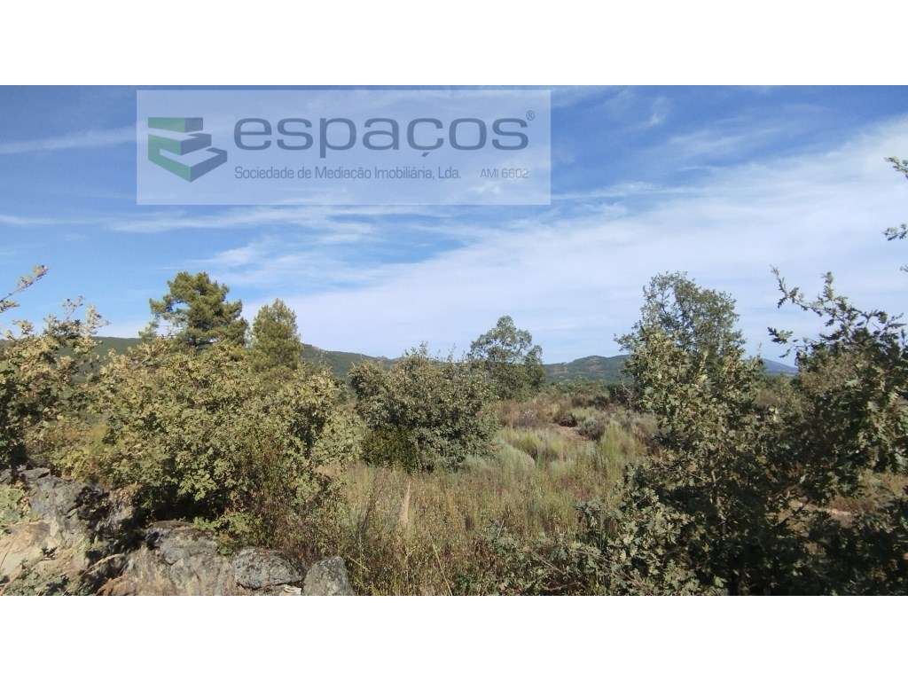 Terrenos - Grande imagem: 3/11