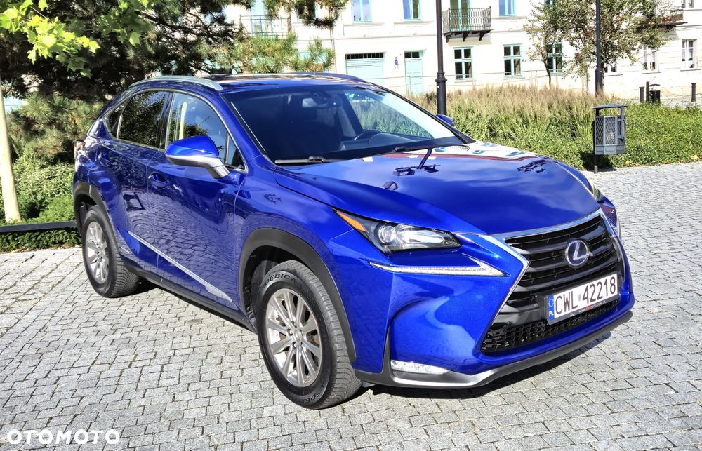 Lexus NX 300h Elite AWD - 6