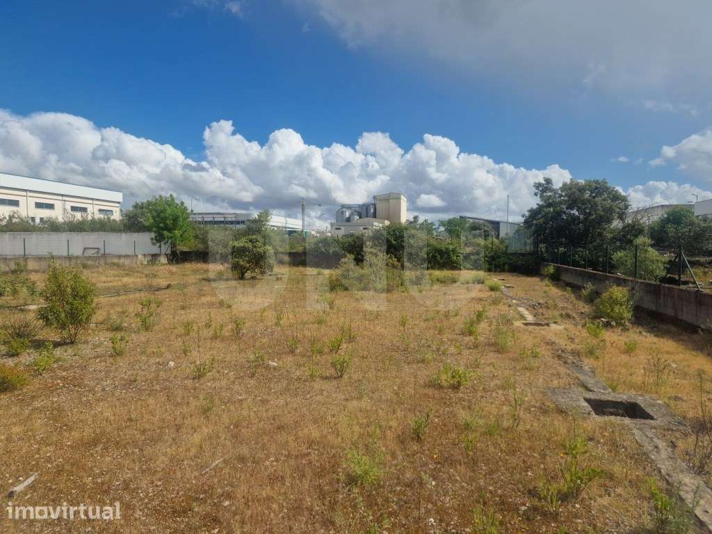 Terreno Industrial com 1.031 m2 em Arraiolos - Localização Premium - Grande imagem: 5/13