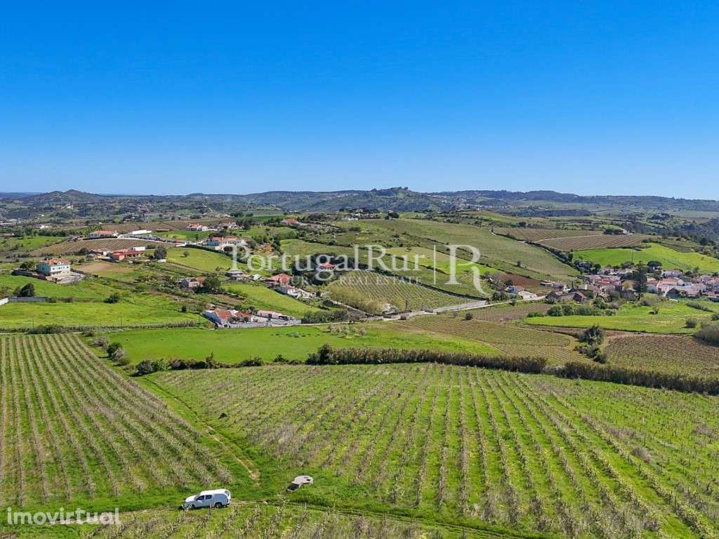 Quinta de 10,5 ha com vinha e construções em Alenquer - Grande imagem: 2/17