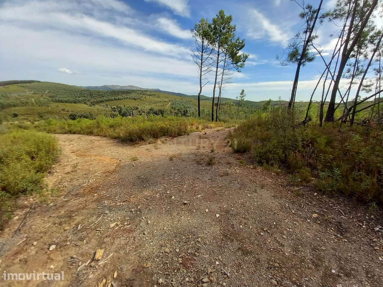 Terreno com 17040m2 em Sobral do Campo - Grande imagem: 4/9