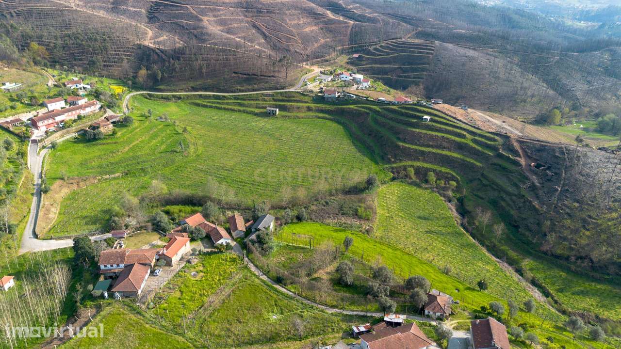 Terreno com Vinha Ativa e Casa em Celorico de Basto - Grande imagem: 3/23