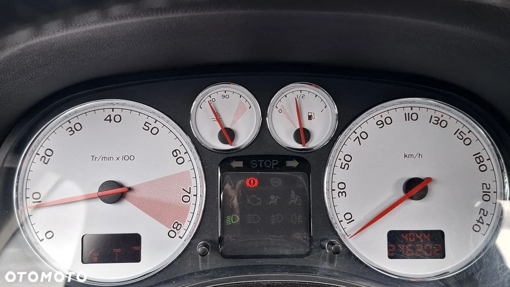 Peugeot 307 2.0 Premium Class - 23