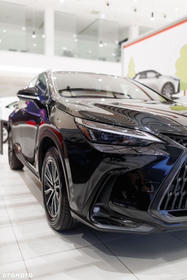 Lexus NX - 12