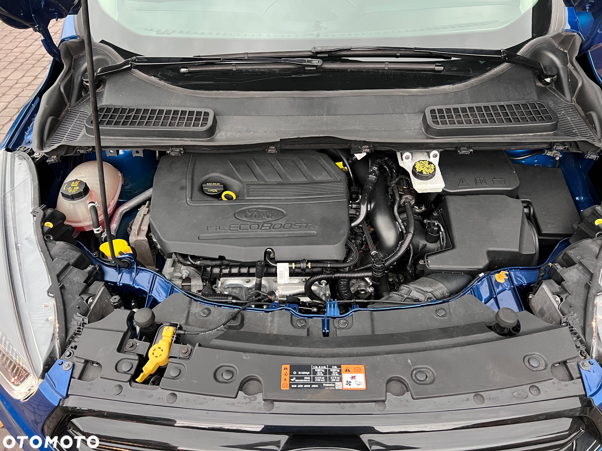 Ford Kuga 1.5 EcoBoost 4WD Titanium - 20