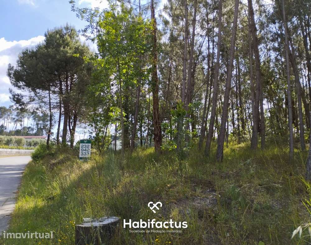 Terreno Agrícola à Venda em Nelas - Grande imagem: 3/7