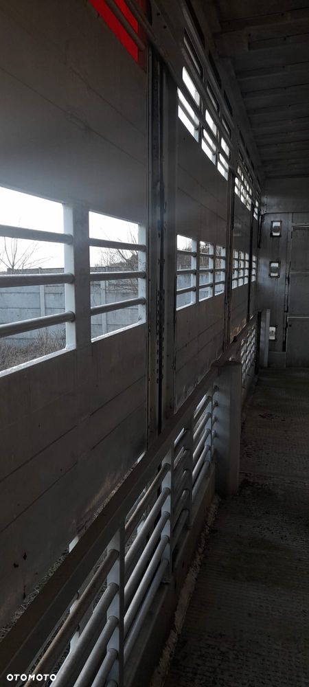 Zorzi 36s 136/19 LA - 31