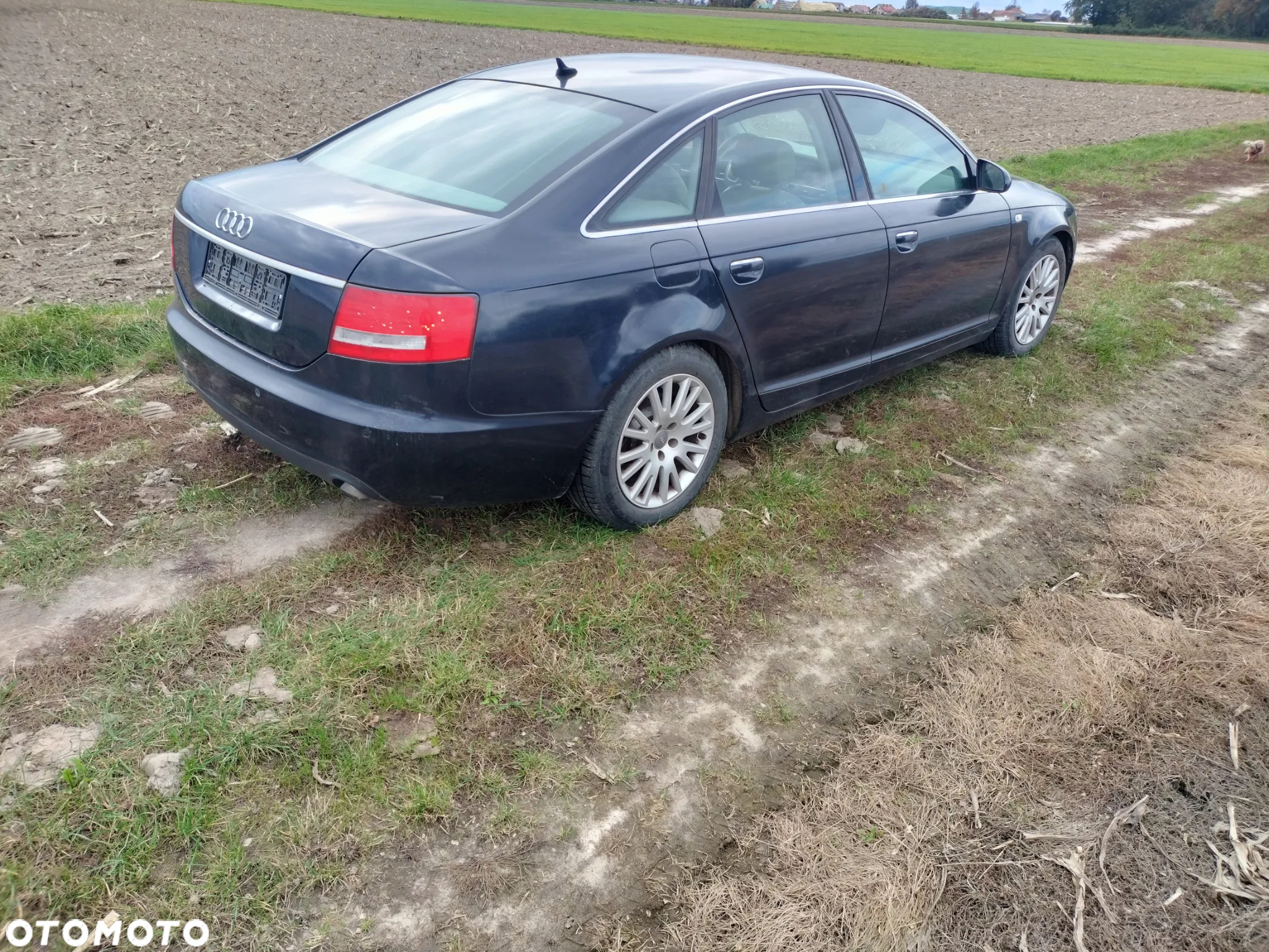 audi A6 C6  kod silnika BMK kod farby LZ5D - 2