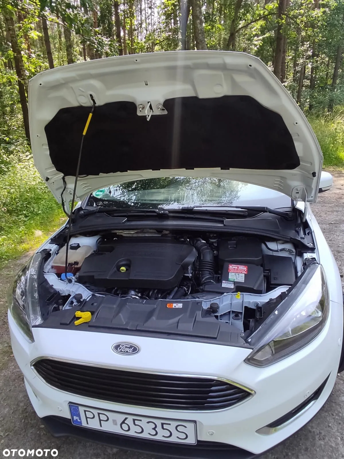 Ford Focus 2.0 TDCi Titanium ASS - 16