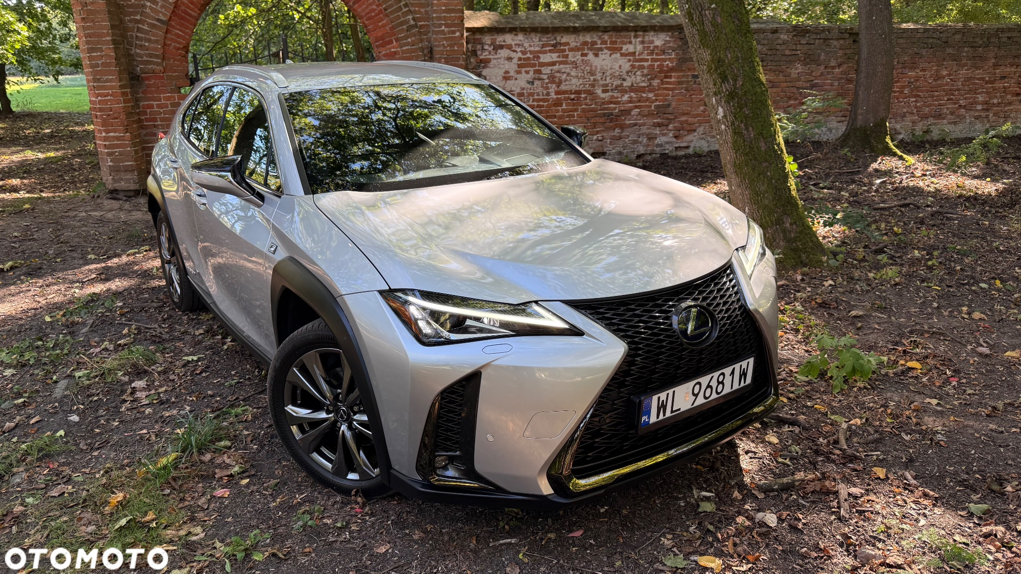 Lexus UX 250h GPF F Sport Edition 2WD - 3