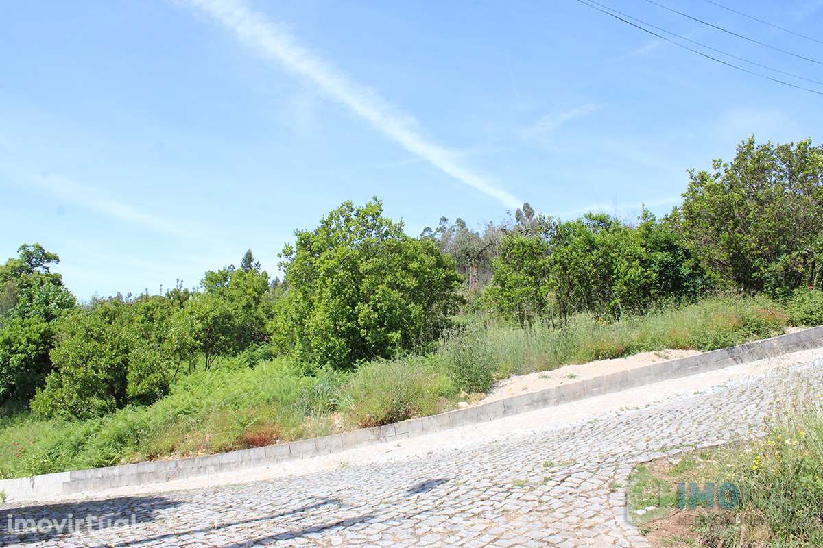 Quinta - Grande imagem: 5/42