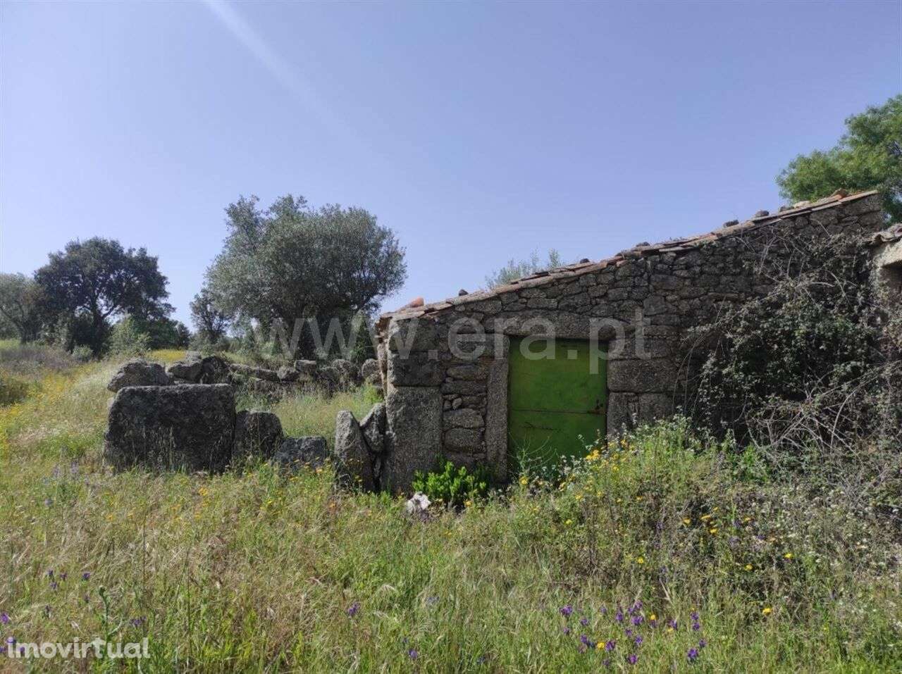 Quinta Estúdio / Fundão, Orca - Grande imagem: 2/12