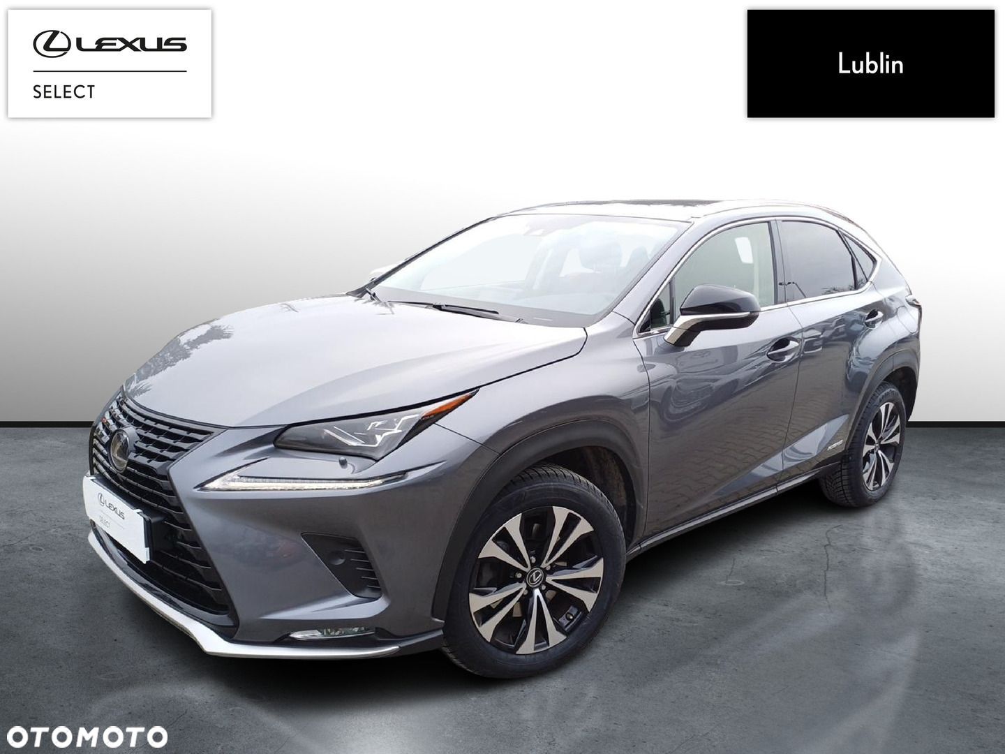 Lexus NX - 1