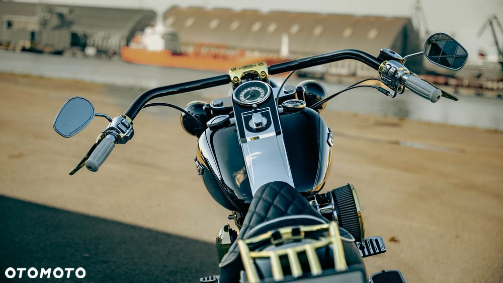 Harley-Davidson Softail Deluxe - 11