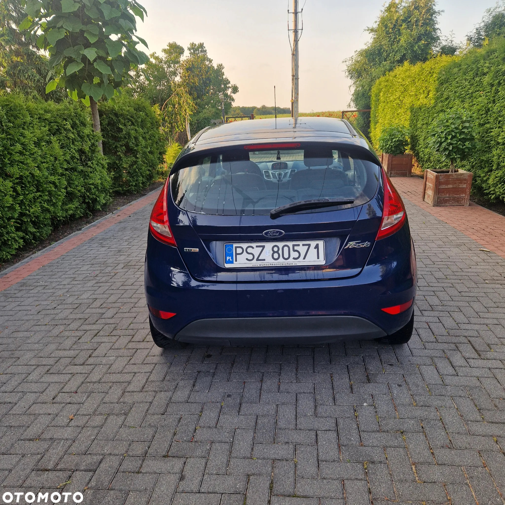 Ford Fiesta 1.6 TDCi Econetic - 7