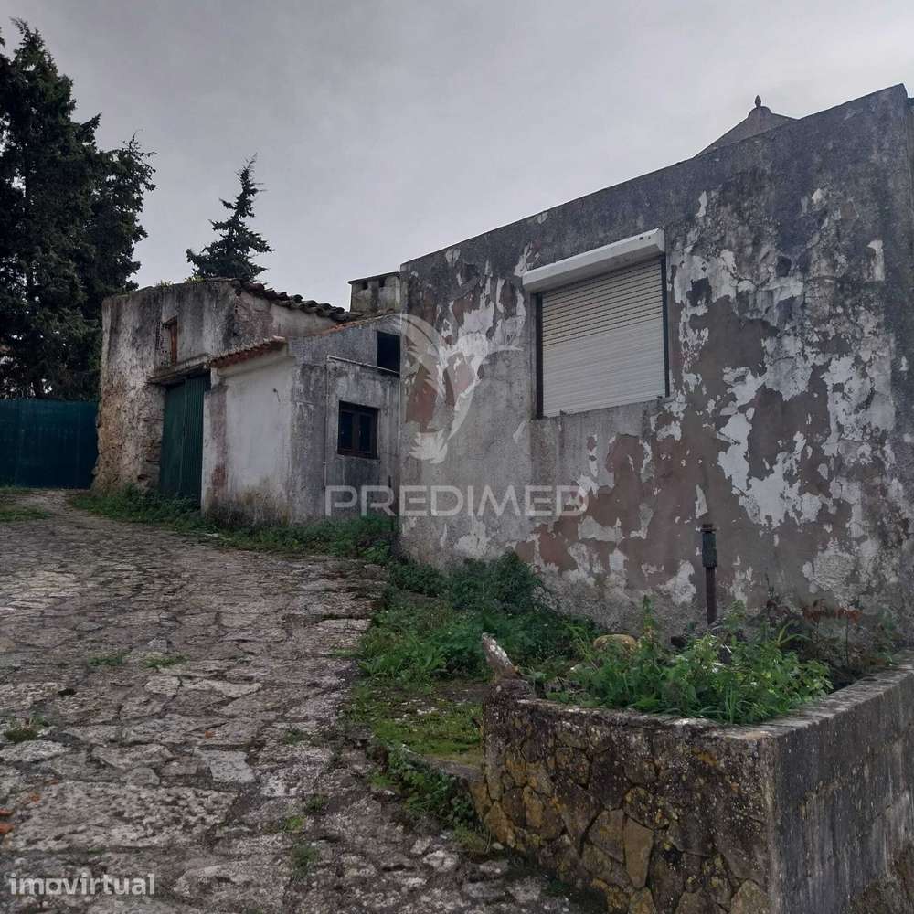 Moradia T6 para Reconstrução Total em Pragança – Cadaval - Grande imagem: 4/19